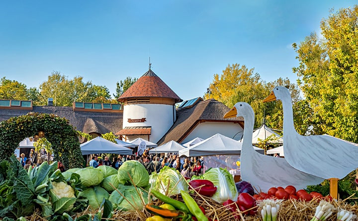 VILA VITA Genussfestival 2026 - ERWACHSENE (Vorverkauf)