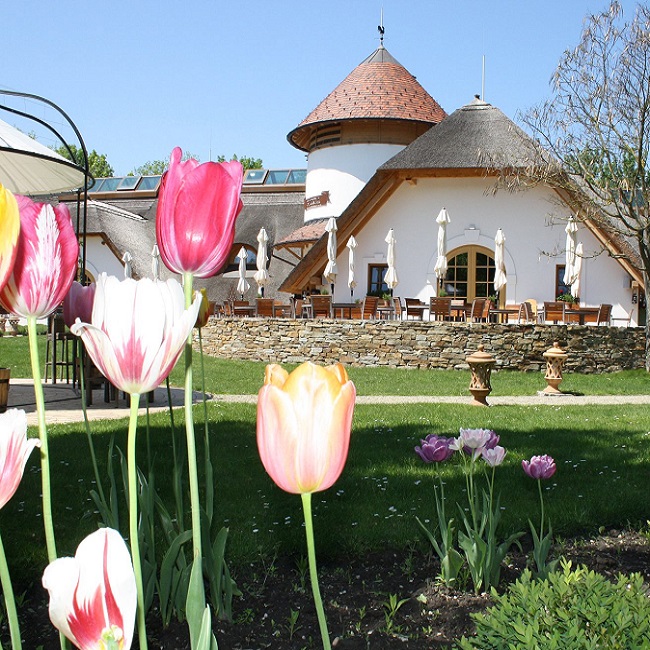 Stadl-Frühstück in unserer Csarda
